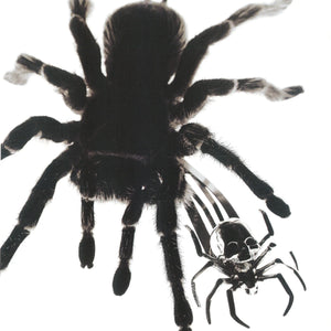 SPIDER HAIR CLIP - Hard Jewelry™