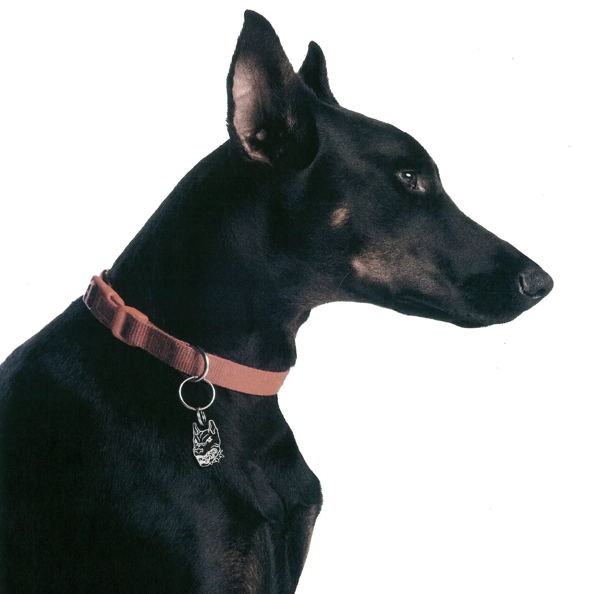 PET TAG - Hard Jewelry™
